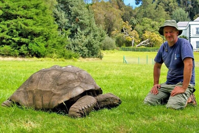 پیرترین جانور روی کره زمین لاکپشت است.