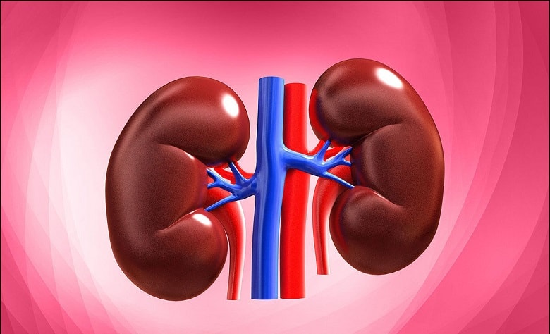 اگر کلیه درد به سراغتان آمد، سریع نزد پزشک بروید.
