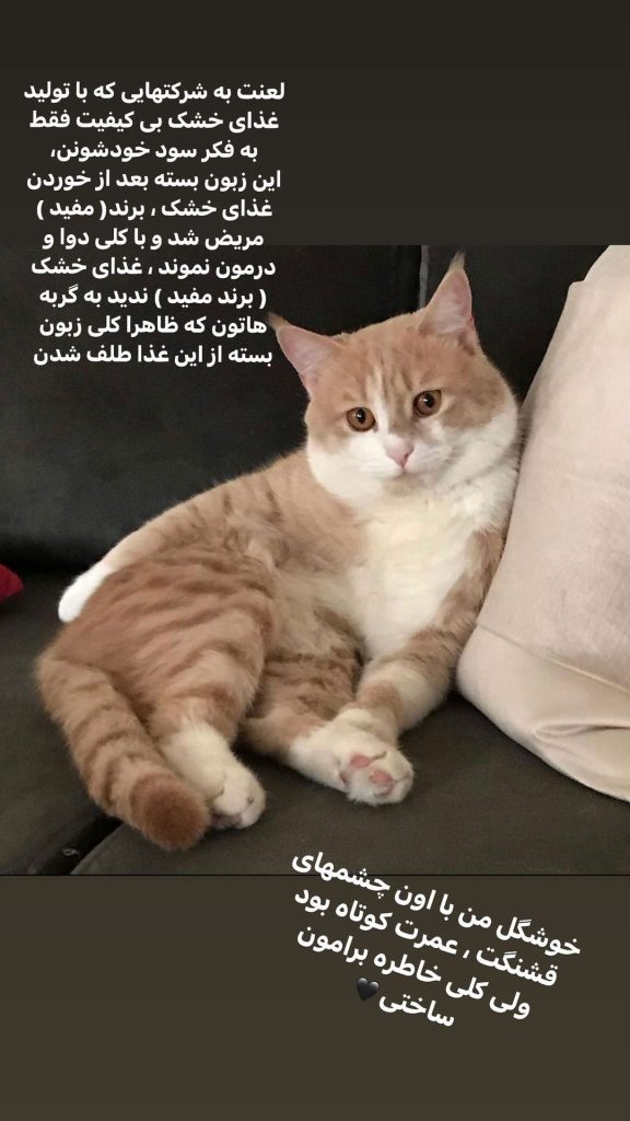 متین ستوده عزادار شد!