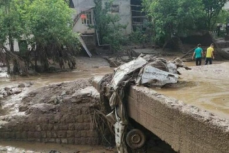 سیل بلای عجیبی بر سر خودروها آورده است.