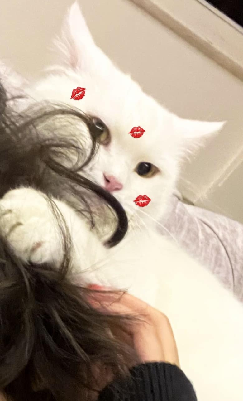 لاله مرزبان از عشق‌های زندگی‌اش رونمایی کرده بود.