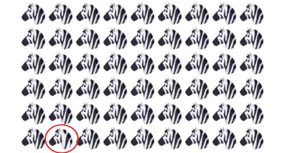 جواب تست بینایی