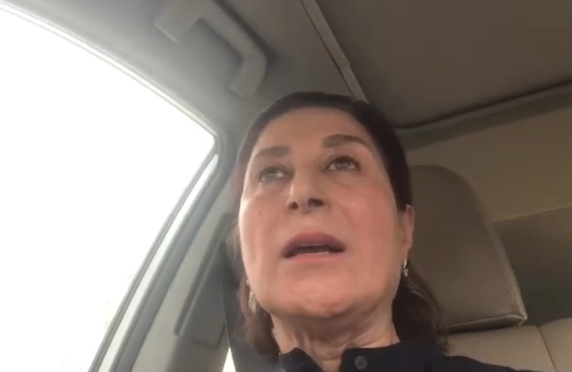  جنجال غیرمنتظره میان دیوارنگاره ولیعصر و معتمدآریا