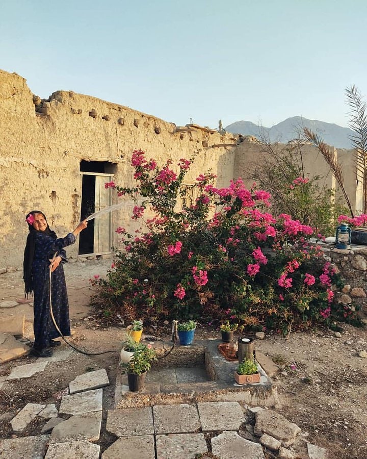 با دیدن این عکس حال دلتان خوب می شود/ تصویر