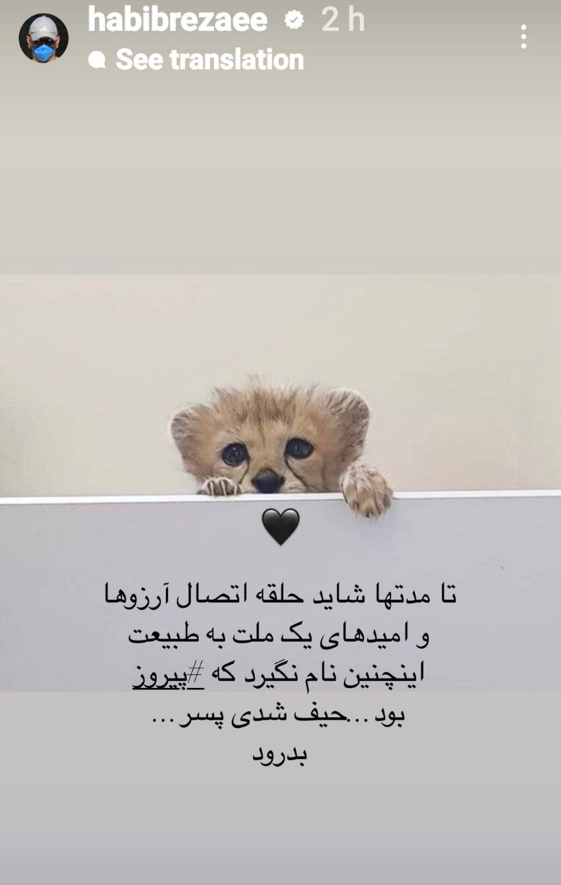 استوری "آقای بازیگر طنز" درباره پیروز اشک همه را درآورد/ عکس استوری "آقای بازیگر طنز" درباره پیروز اشک همه را درآورد/ عکس