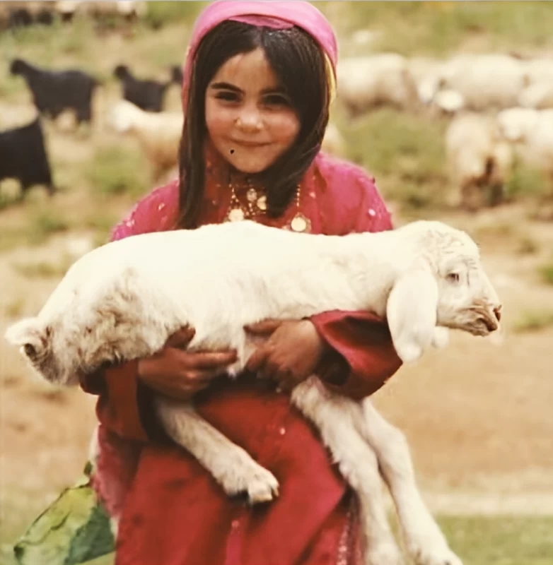 جالب ترین عکسی که تاکنون از "الهام چرخنده" دیده اید/ تصویر جالب ترین عکسی که تاکنون از "الهام چرخنده" دیده اید/ تصویر