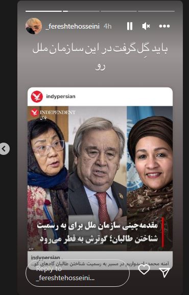 عکس/ حمله جنجالی فرشته حسینی به اقدام جدید سازمان ملل