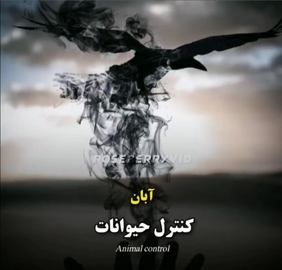 نیروهای ماورایی متولدین ماه های مختلف را بدانید