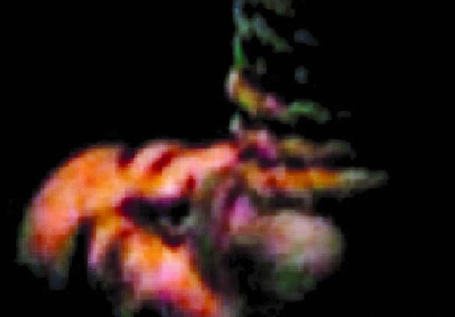 تصاویری از صحنه اعدام صدام حسین که برای اولین بار منتشر شده!