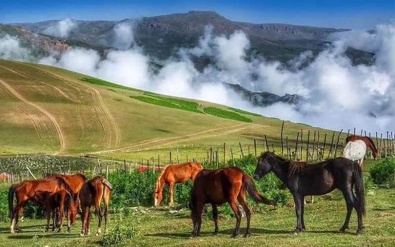 در این ۶ منطقه در ایران نیاز به کولر نخواهید داشت.