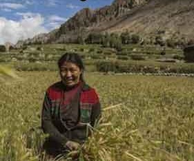 ازدواج عجیب این دختر با این ریخت و قیافه با دو برادر/ عکس