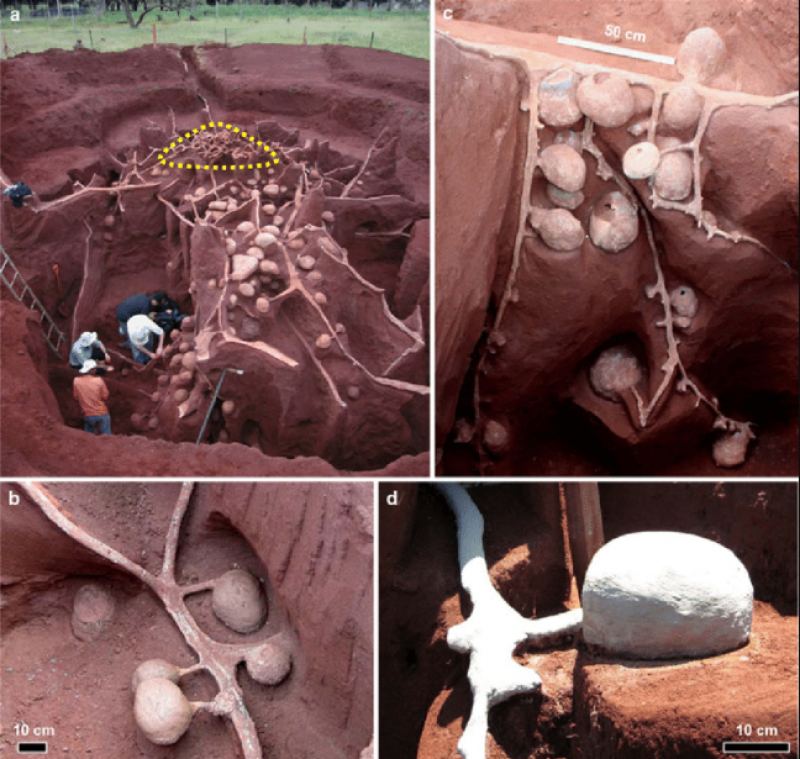شهری حیرت انگیز که هنگام بتن ریزی زیر زمین کشف شد/ عکس شهری حیرت انگیز که هنگام بتن ریزی زیر زمین کشف شد/ عکس