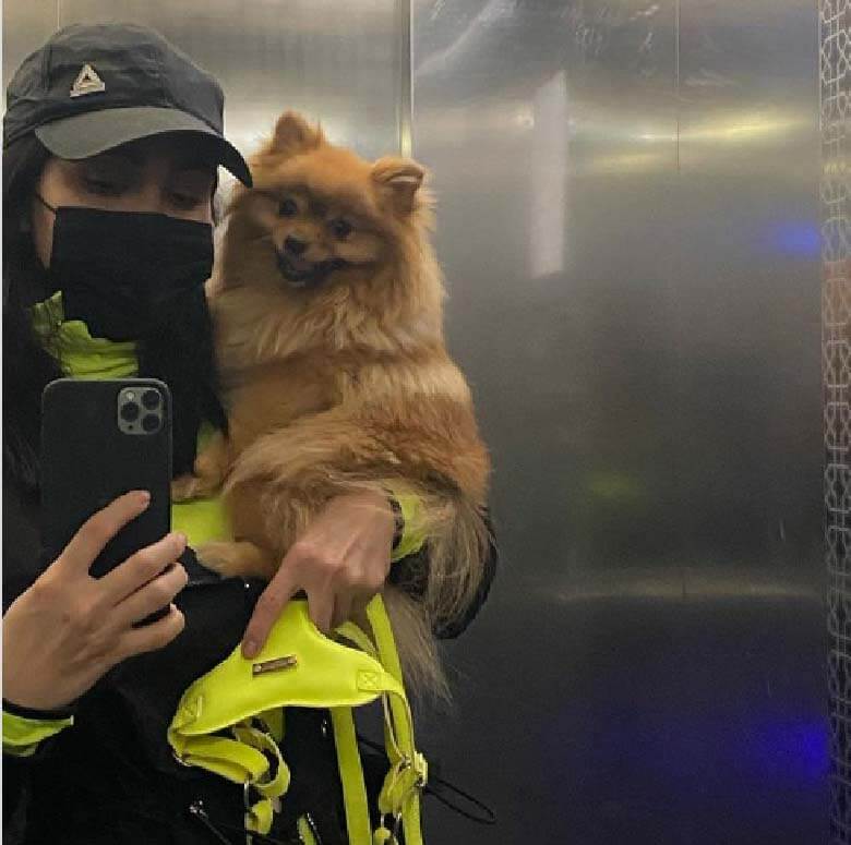 مریم معصومی پز سگش را می دهد.